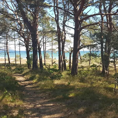 Baltic * Binz
